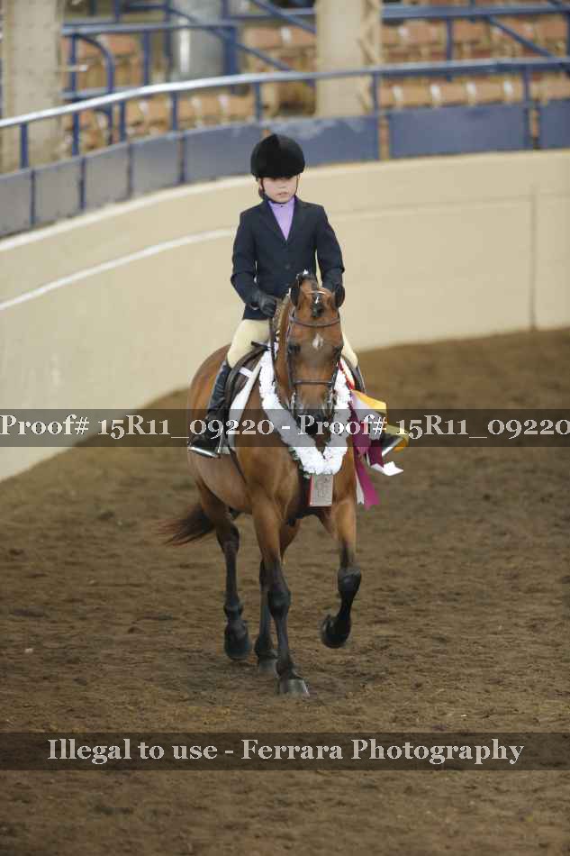 Proof Number 15R11_09220