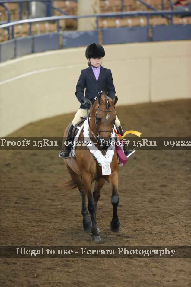Proof Number 15R11_09222
