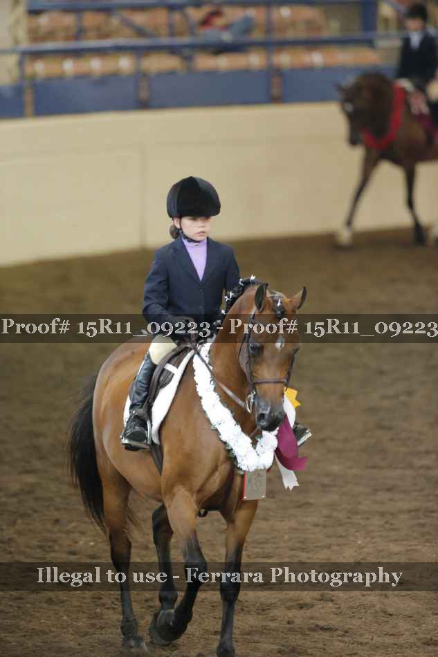 Proof Number 15R11_09223