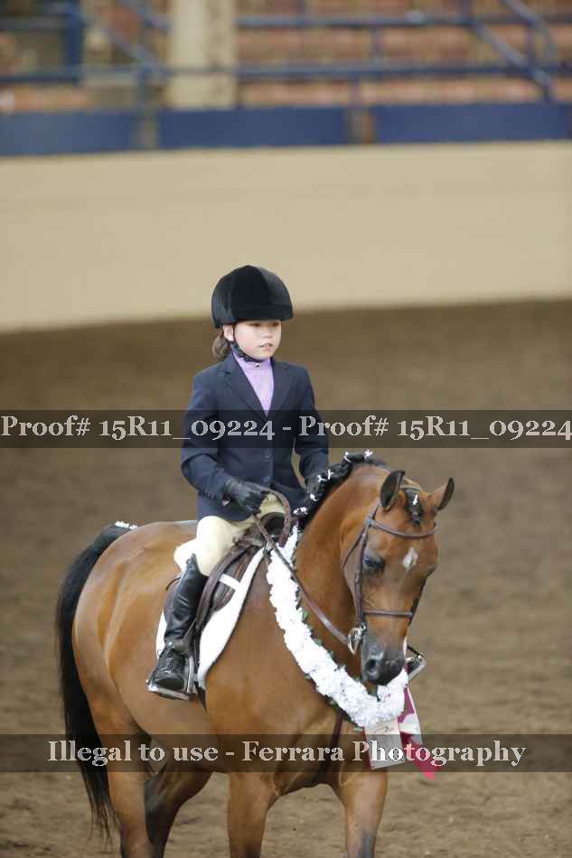 Proof Number 15R11_09224