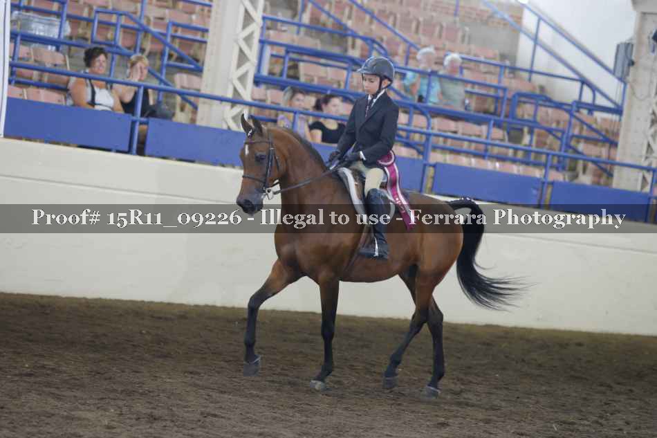 Proof Number 15R11_09226