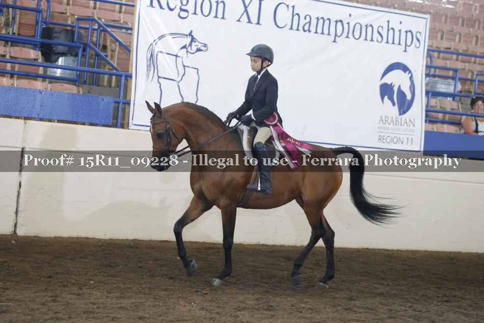 Proof Number 15R11_09228