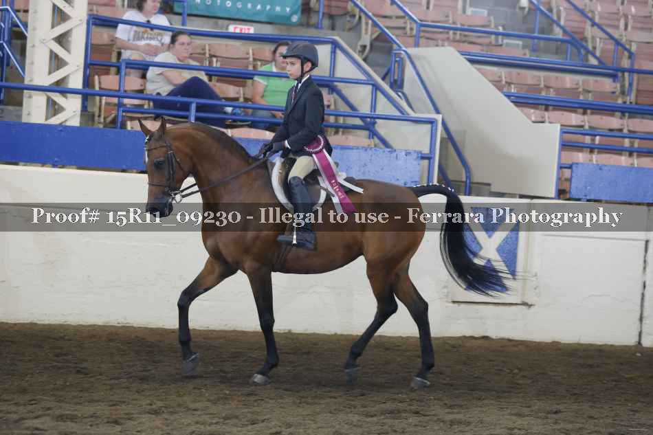 Proof Number 15R11_09230