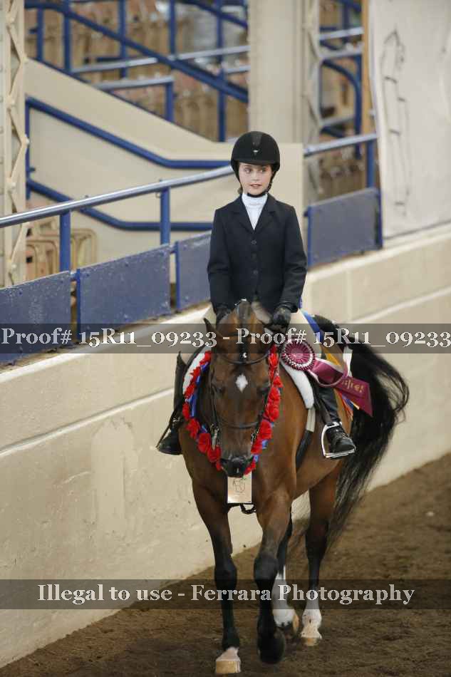 Proof Number 15R11_09233