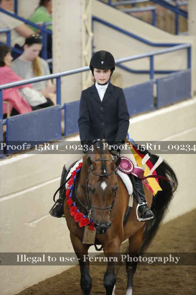 Proof Number 15R11_09234