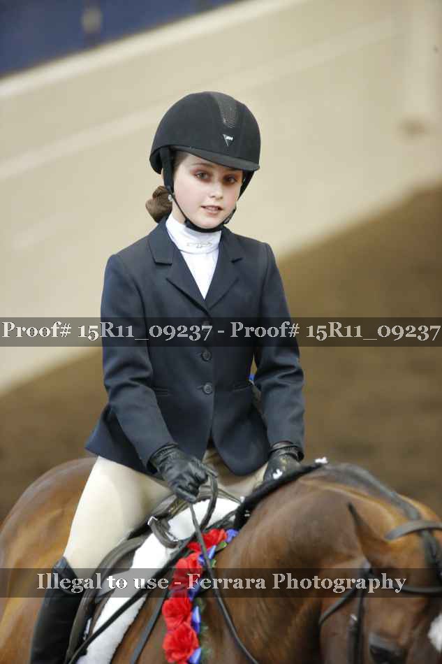 Proof Number 15R11_09237
