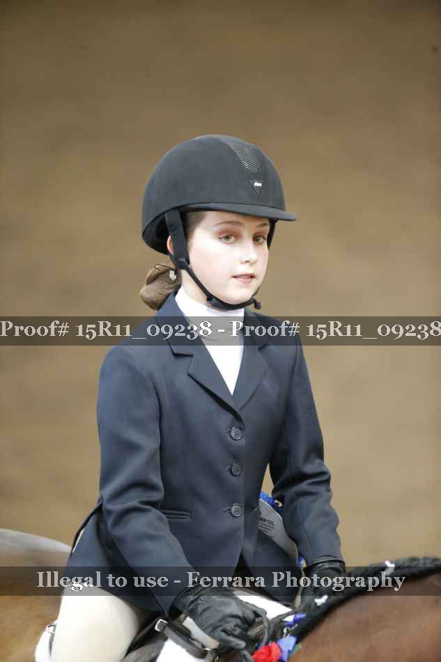 Proof Number 15R11_09238