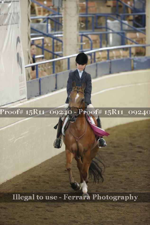 Proof Number 15R11_09240