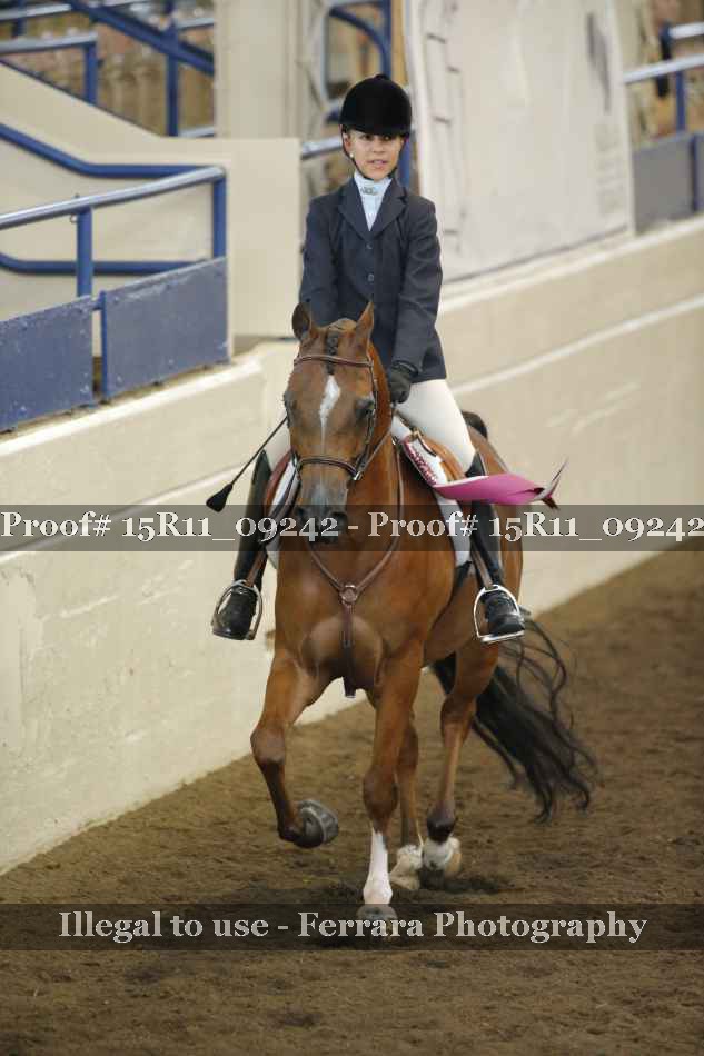 Proof Number 15R11_09242