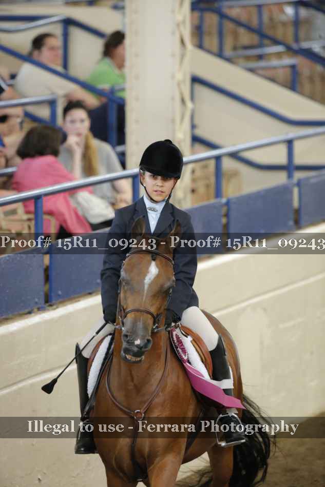 Proof Number 15R11_09243