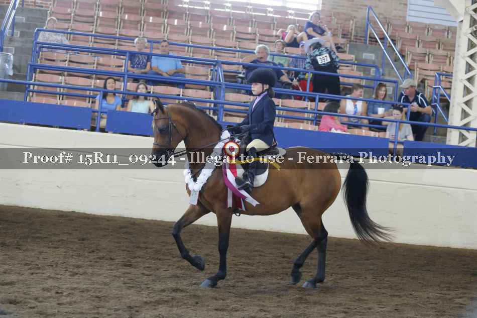 Proof Number 15R11_09244