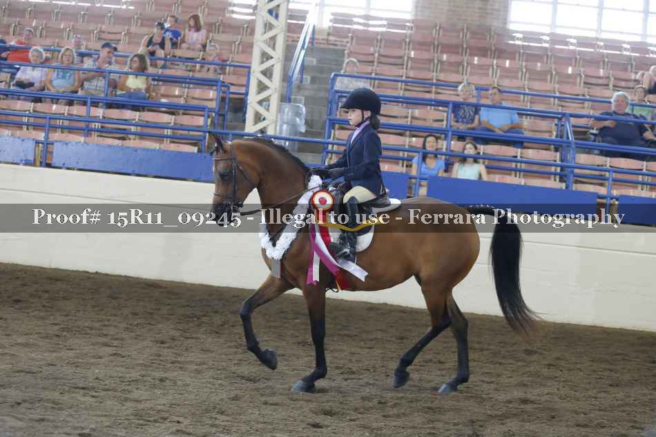 Proof Number 15R11_09245