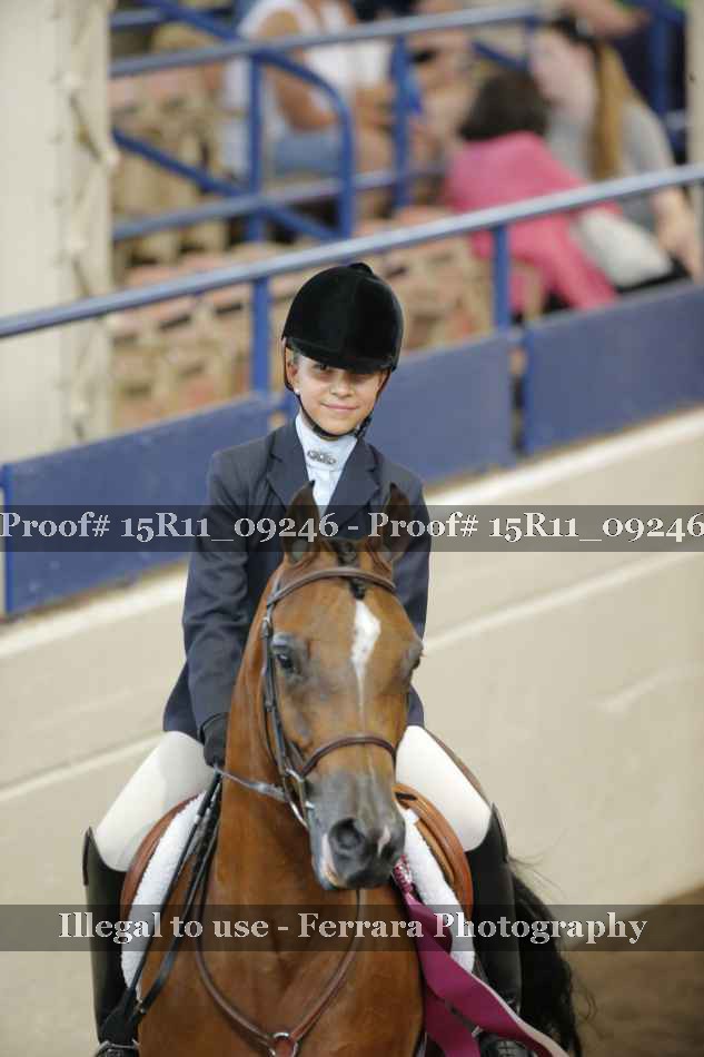Proof Number 15R11_09246