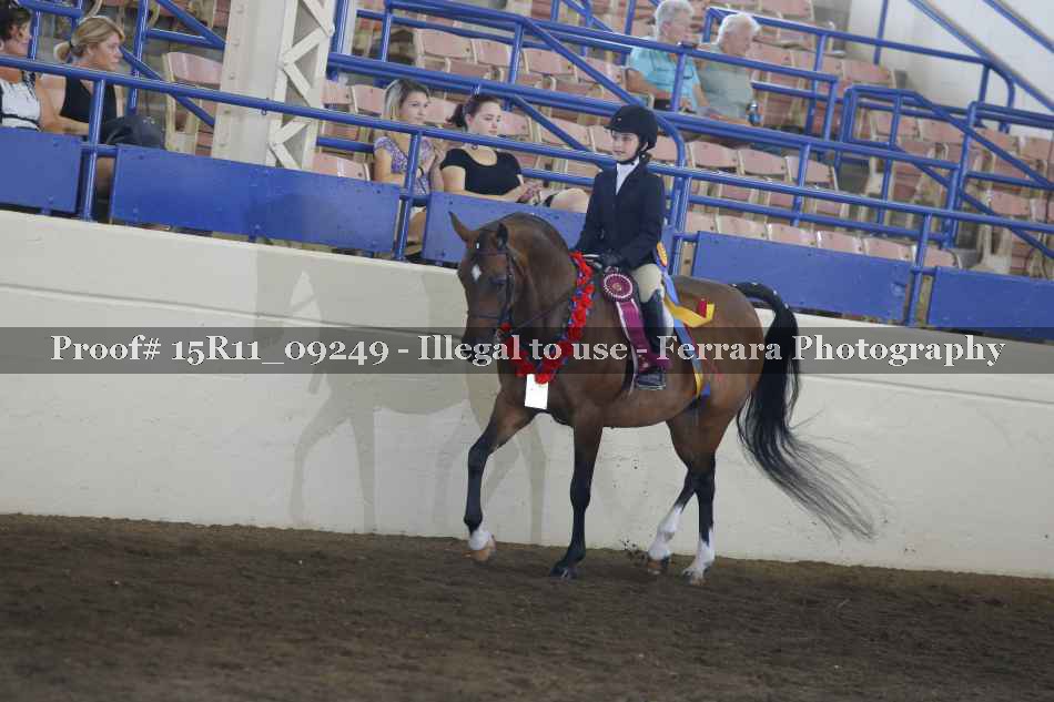 Proof Number 15R11_09249