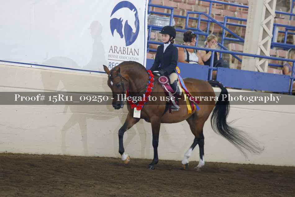Proof Number 15R11_09250
