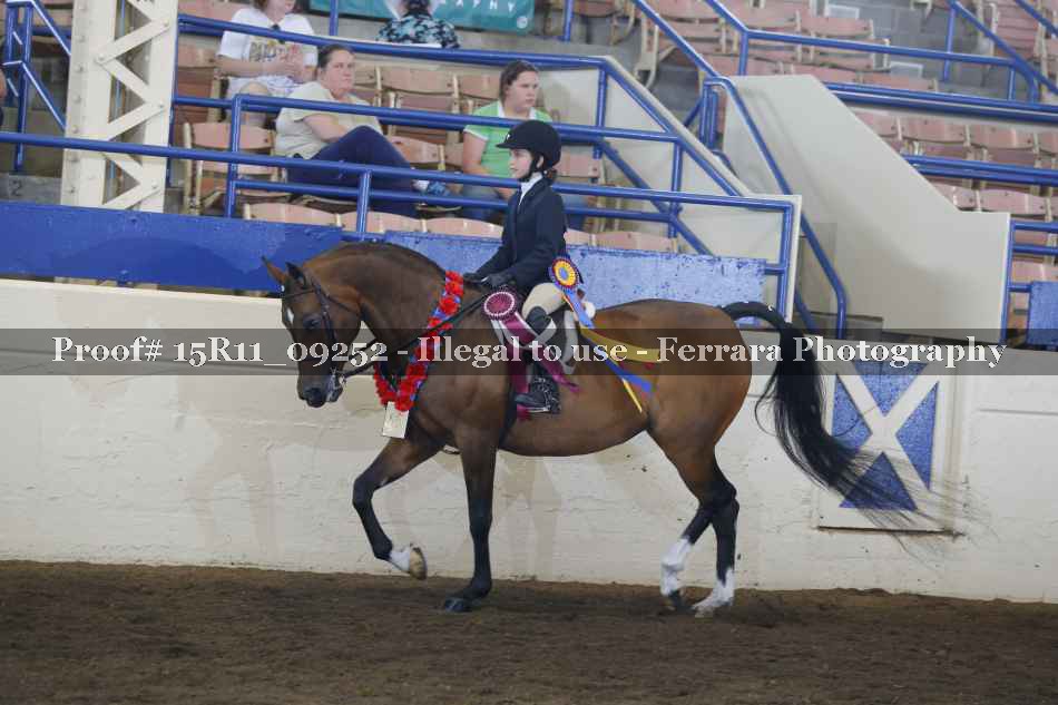 Proof Number 15R11_09252