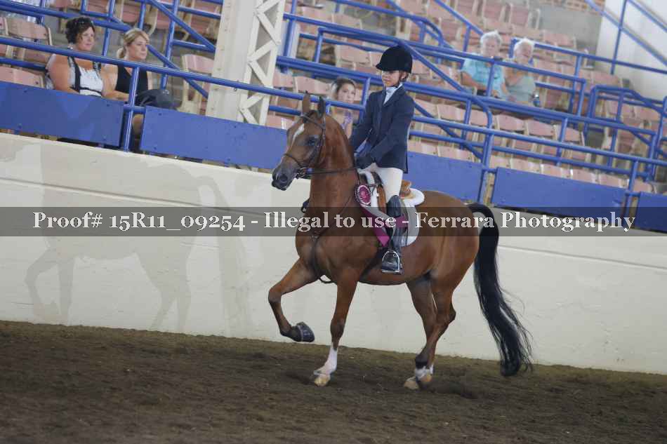 Proof Number 15R11_09254