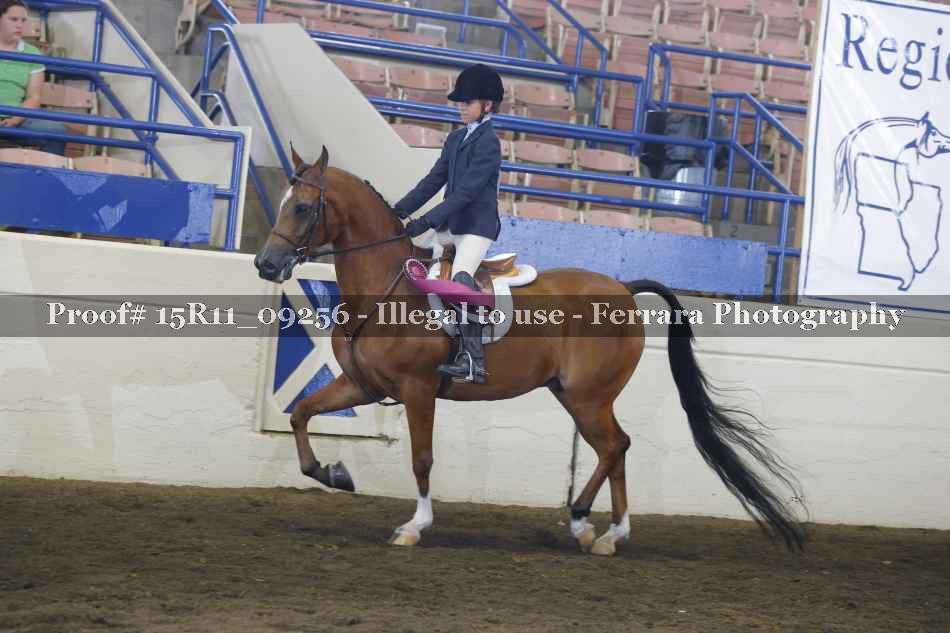 Proof Number 15R11_09256