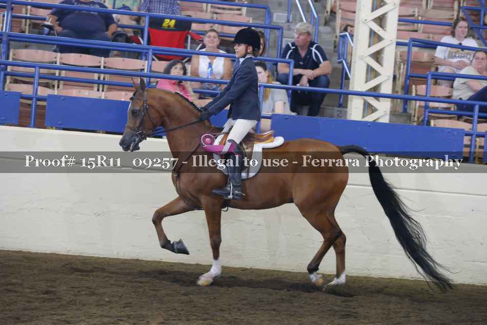 Proof Number 15R11_09257