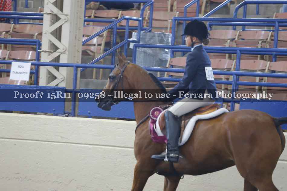 Proof Number 15R11_09258