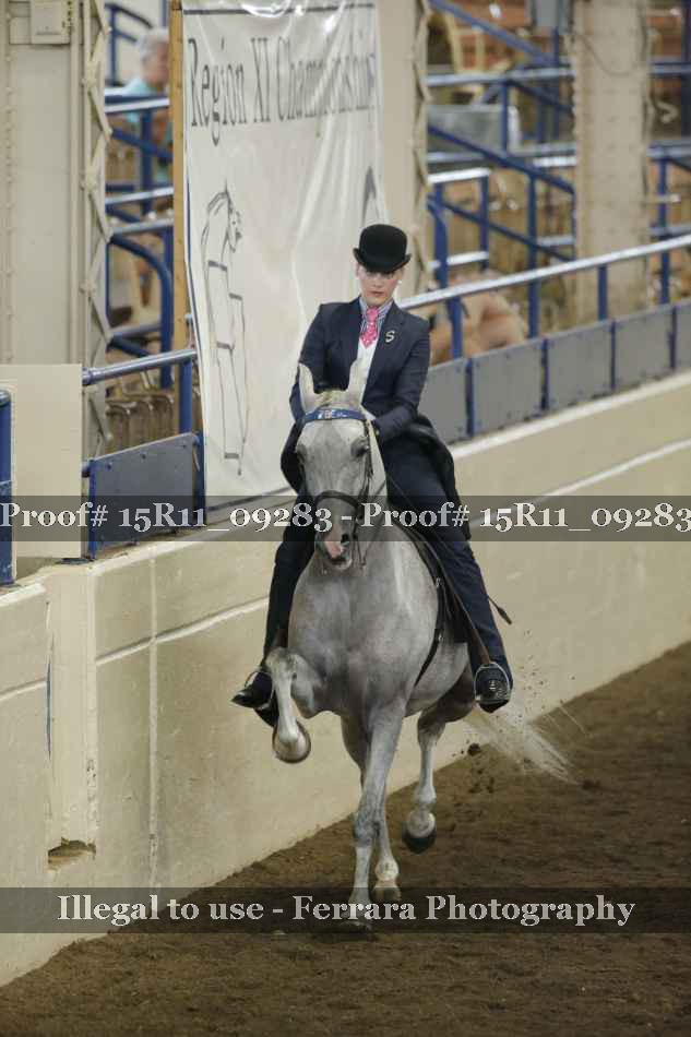 Proof Number 15R11_09283
