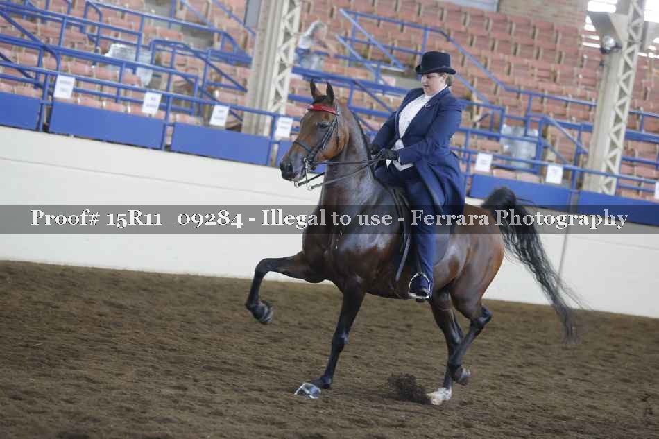Proof Number 15R11_09284