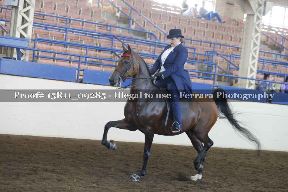 Proof Number 15R11_09285