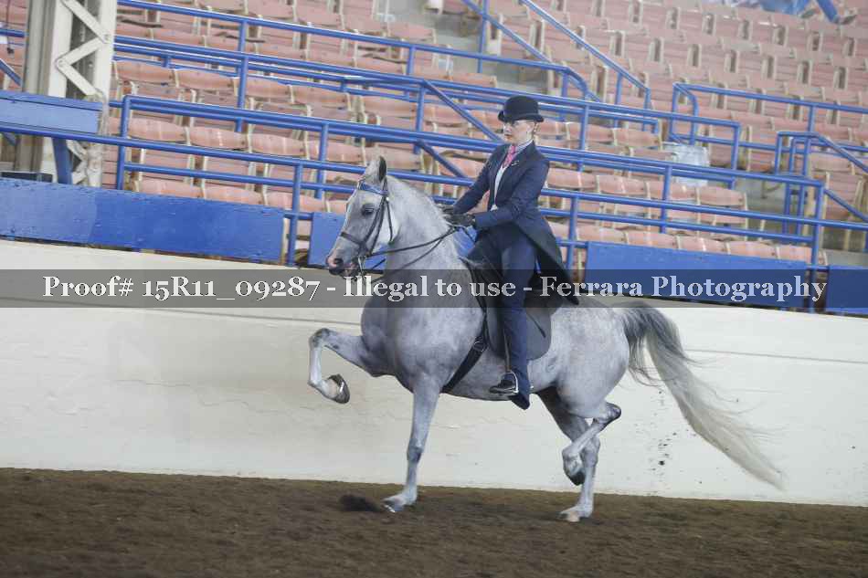 Proof Number 15R11_09287