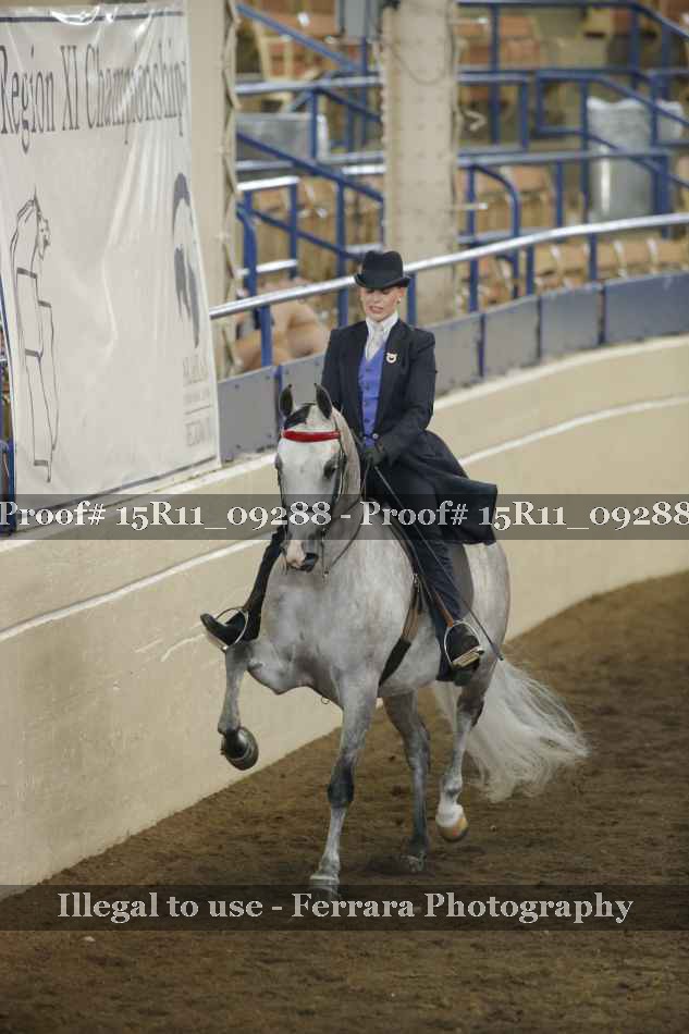 Proof Number 15R11_09288