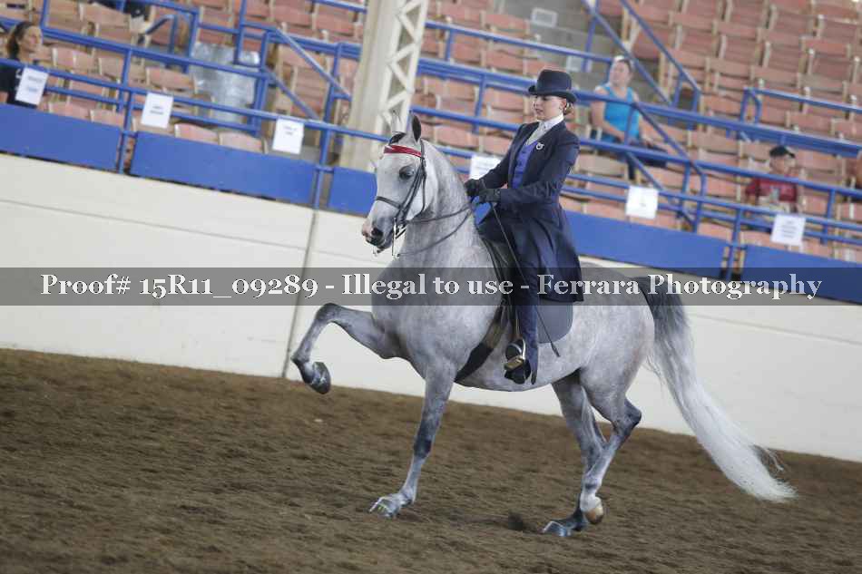 Proof Number 15R11_09289