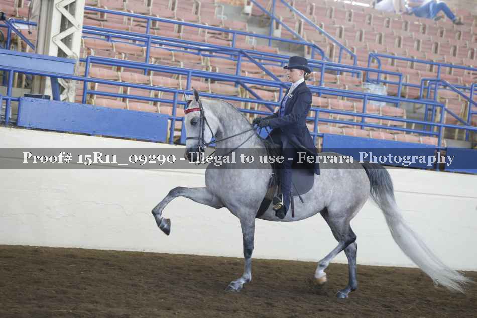 Proof Number 15R11_09290