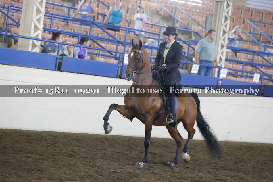 Proof Number 15R11_09291
