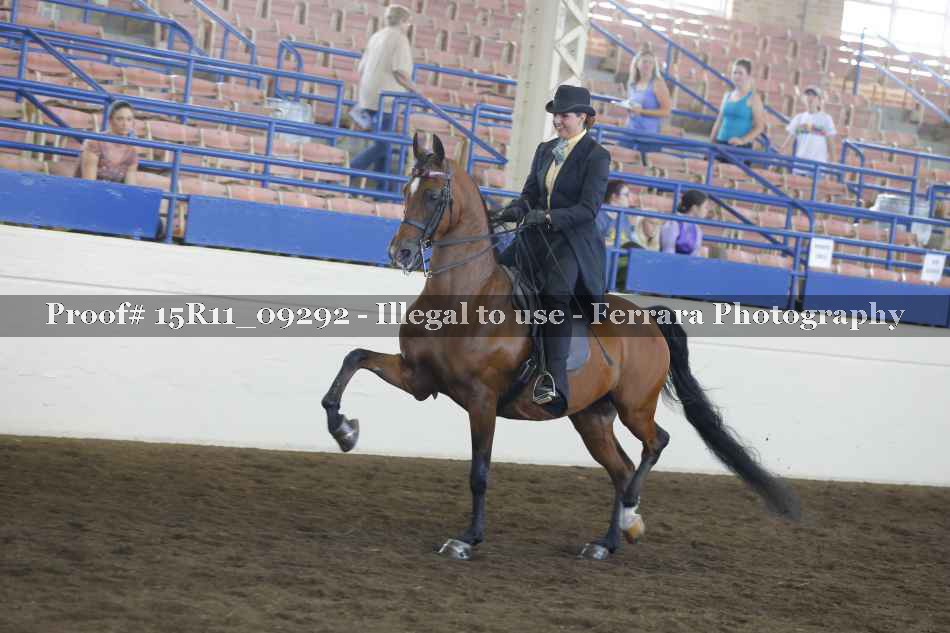 Proof Number 15R11_09292