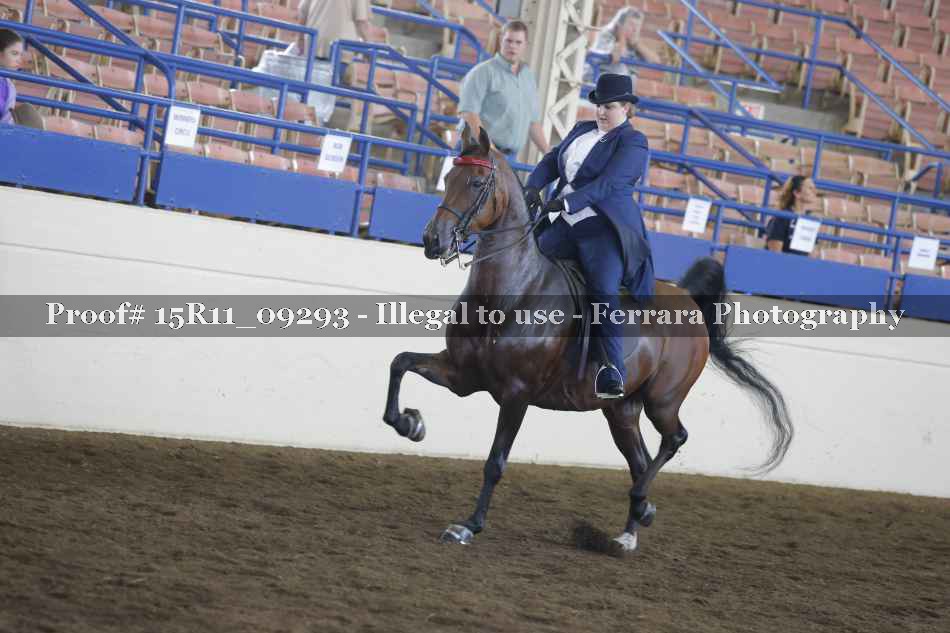 Proof Number 15R11_09293