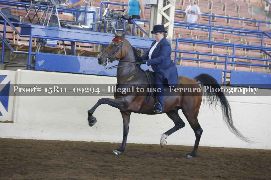 Proof Number 15R11_09294