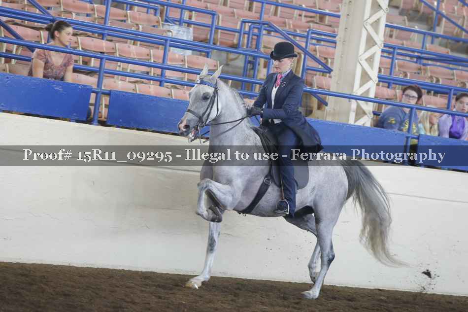 Proof Number 15R11_09295