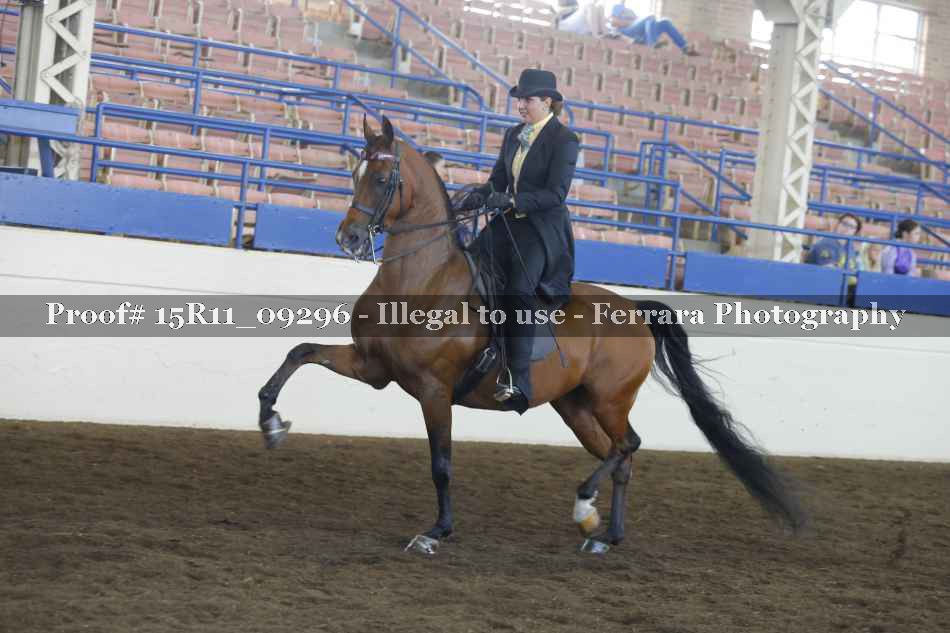 Proof Number 15R11_09296