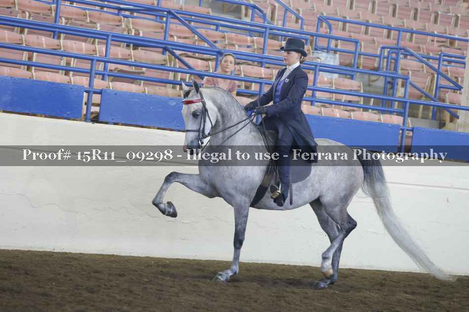 Proof Number 15R11_09298