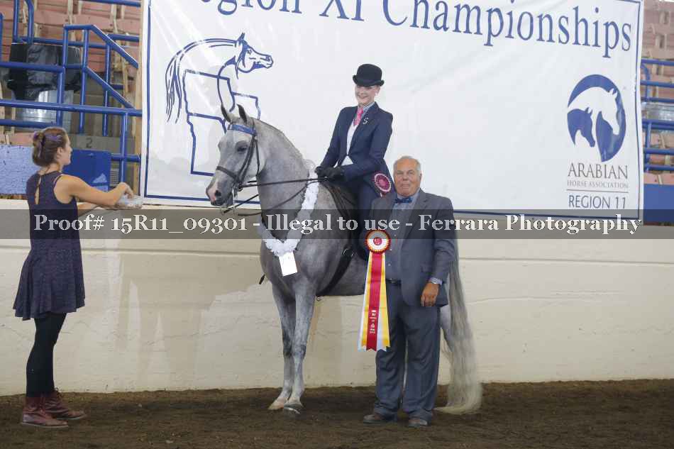 Proof Number 15R11_09301
