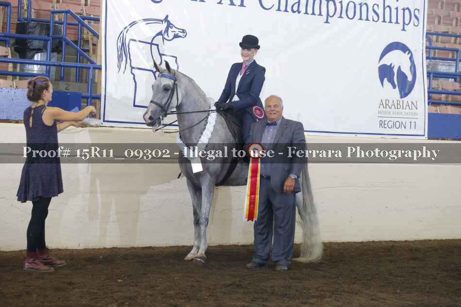 Proof Number 15R11_09302