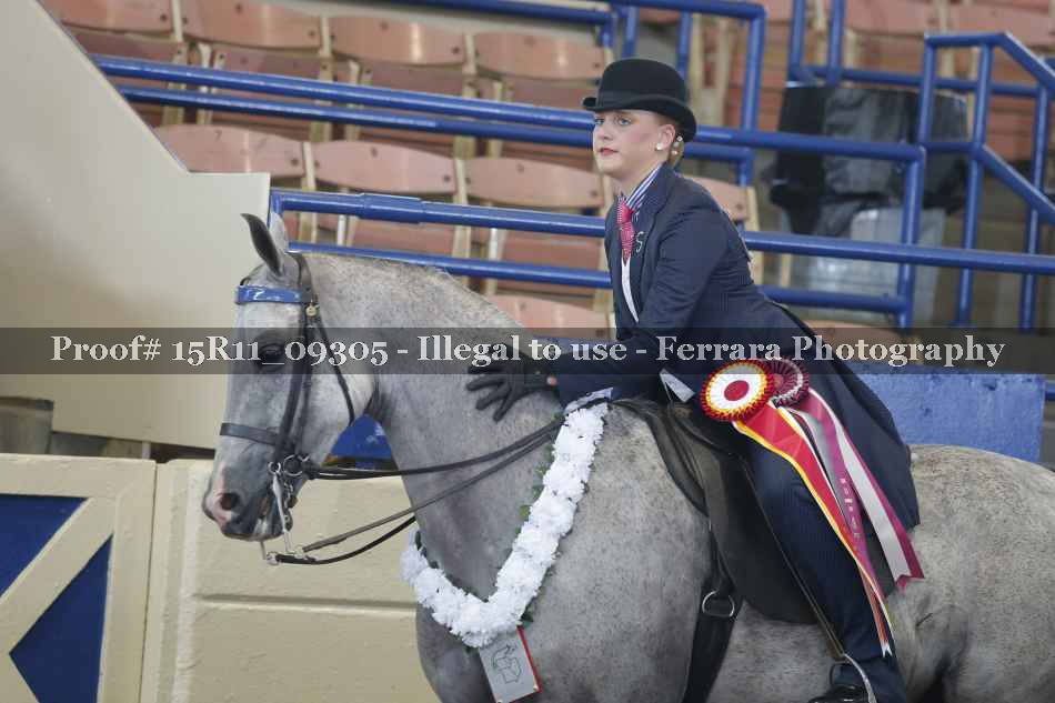 Proof Number 15R11_09305