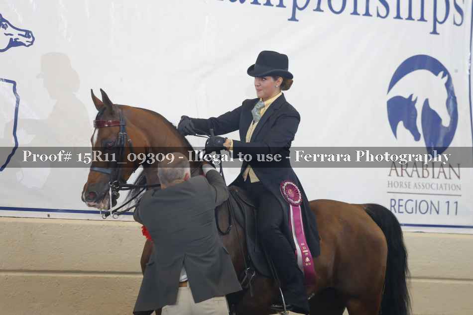 Proof Number 15R11_09309