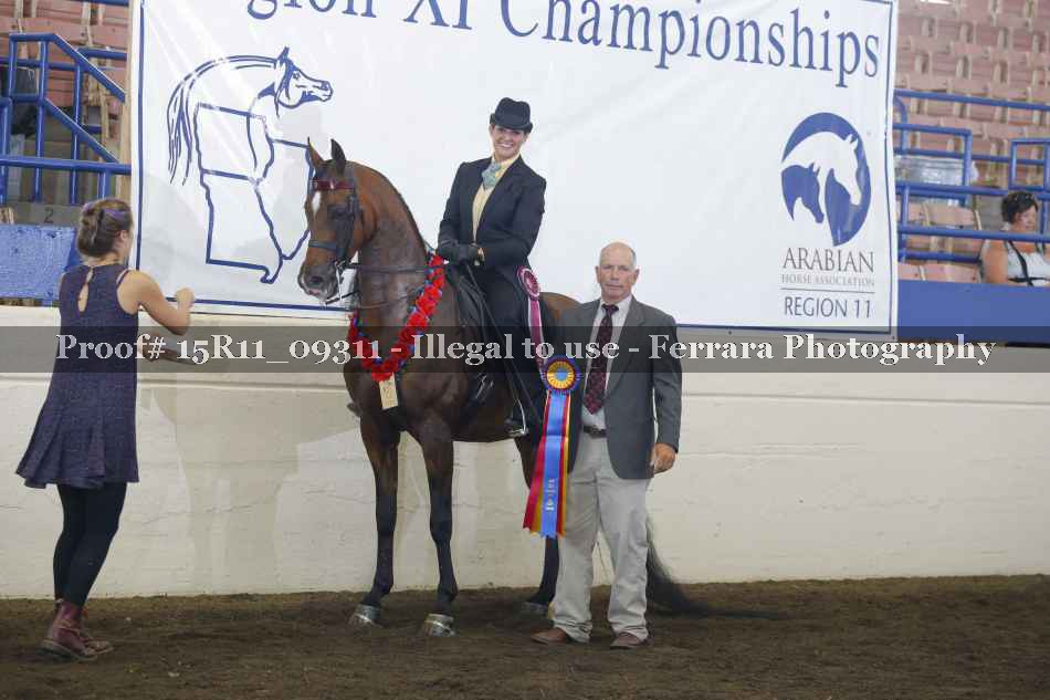 Proof Number 15R11_09311
