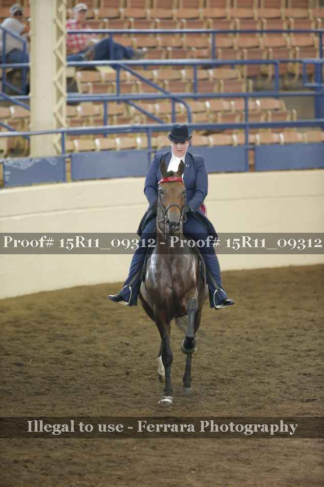 Proof Number 15R11_09312