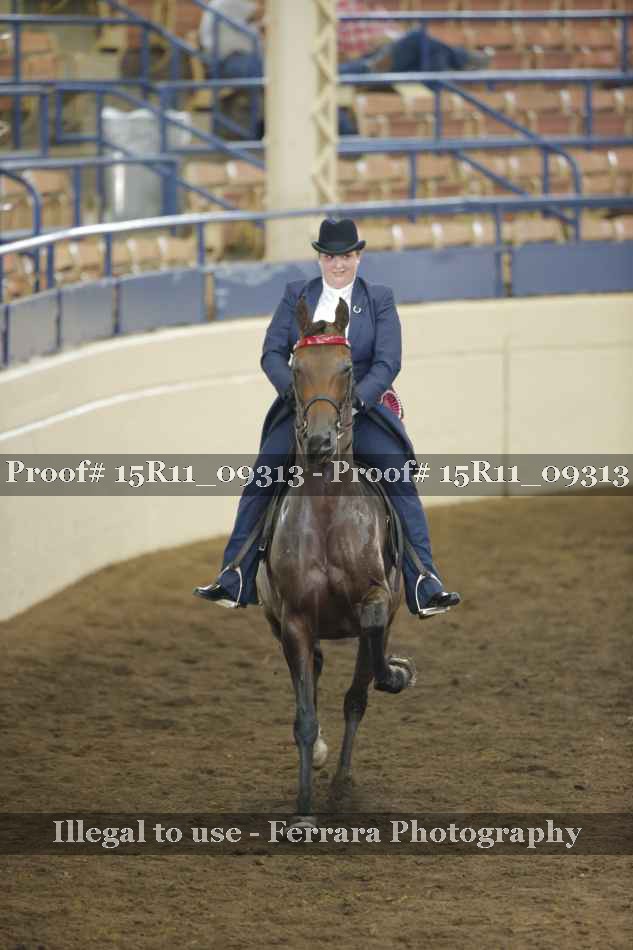 Proof Number 15R11_09313