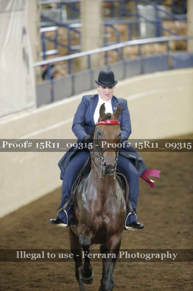 Proof Number 15R11_09315