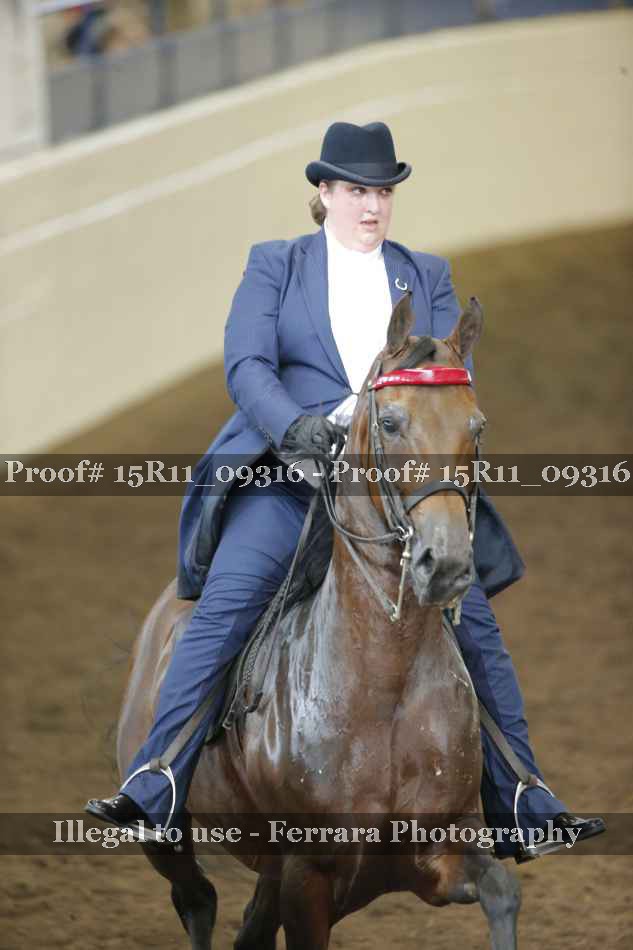 Proof Number 15R11_09316