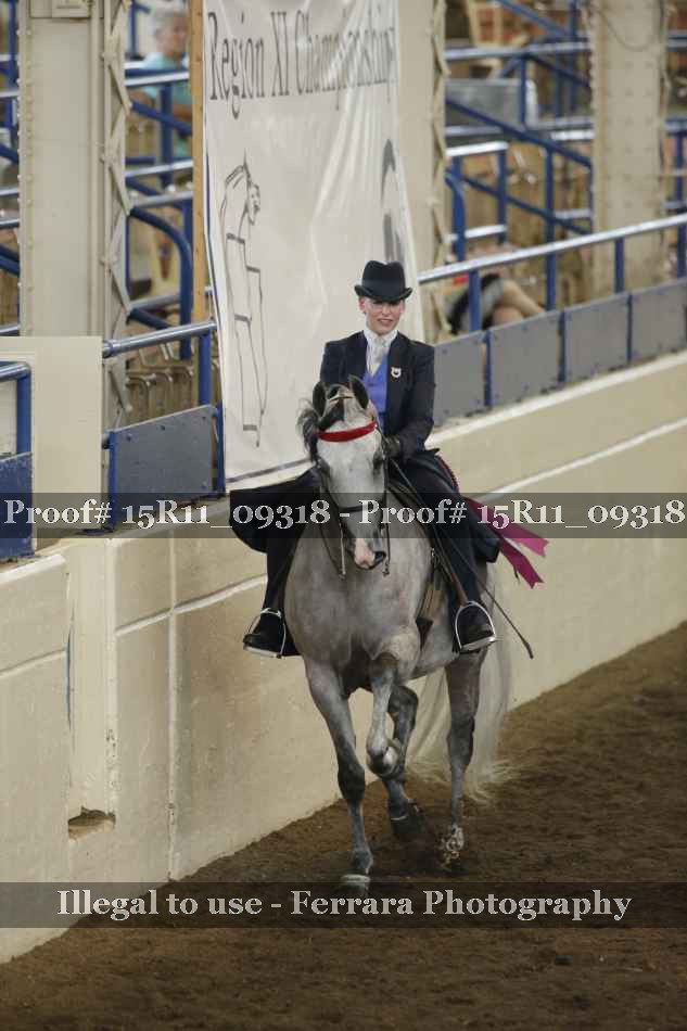 Proof Number 15R11_09318