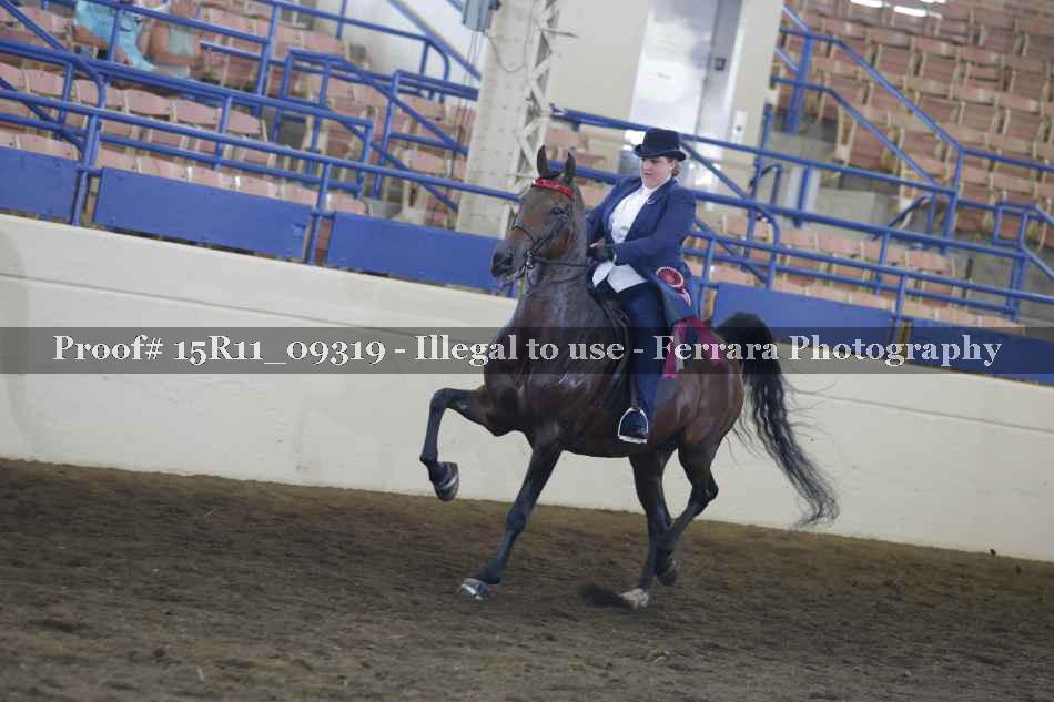 Proof Number 15R11_09319