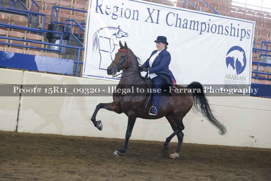 Proof Number 15R11_09320